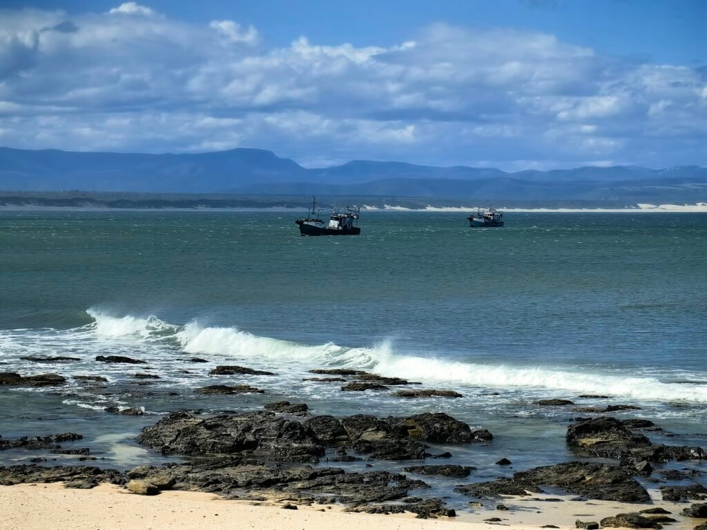 Chokka Boats at Point
