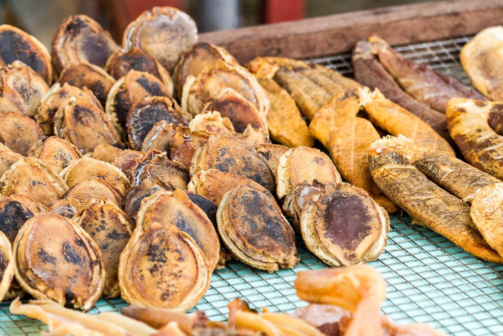 乾鮑 Dried Abalone (Bao yu) / 中國飲食文化 Chinese Food Culture / SML.20131118.7D.51331