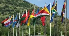 Sadc flags small0