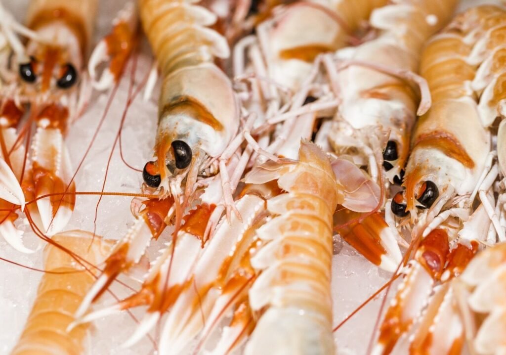 Latest fishing news in sa