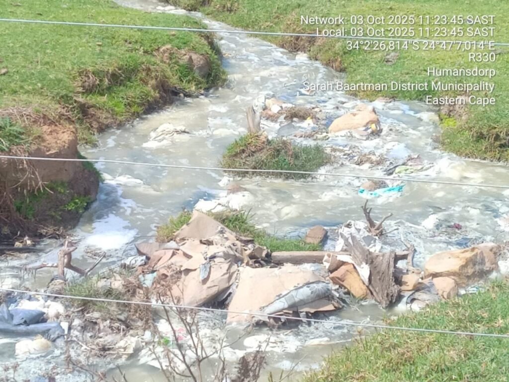 Polluted stream still flowing to aston bay 3