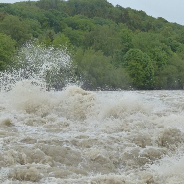 flood, waves, splash, swirl, dangerous, whirl, spray, danube, rainy weather, cloudy, rain, nature, wet, precipitation, flooding, water, water level, peak, flow, catastrophe, flood disaster, storm, force of nature, civil protection, flood of the century, climate change