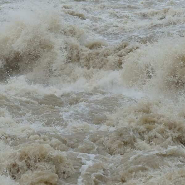 flood, waves, splash, swirl, dangerous, whirl, spray, danube, rainy weather, cloudy, rain, wet, precipitation, flooding, nature, water, water level, peak, flow, catastrophe, flood disaster, storm, force of nature, civil protection, flood of the century, climate change